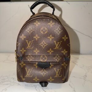 Louis Vuitton Monogram Palm Springs Backpack